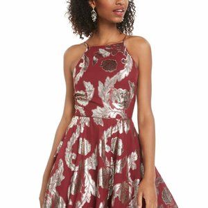 Maroon Sleeveless Mini Fit Flare Dress